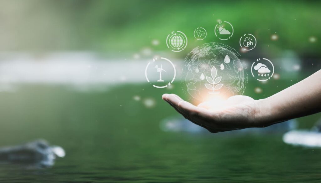hinsitu