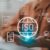 iso (1)